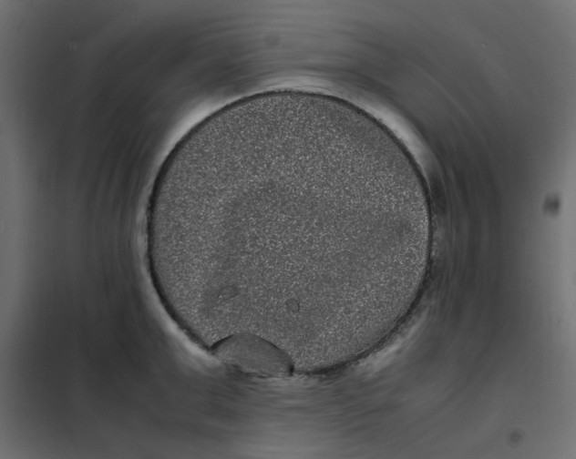 X0000101990999200808081631