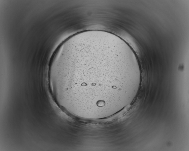 X0000101991000200808081631