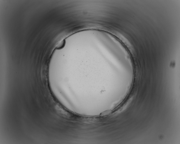 X0000101991001200808081631