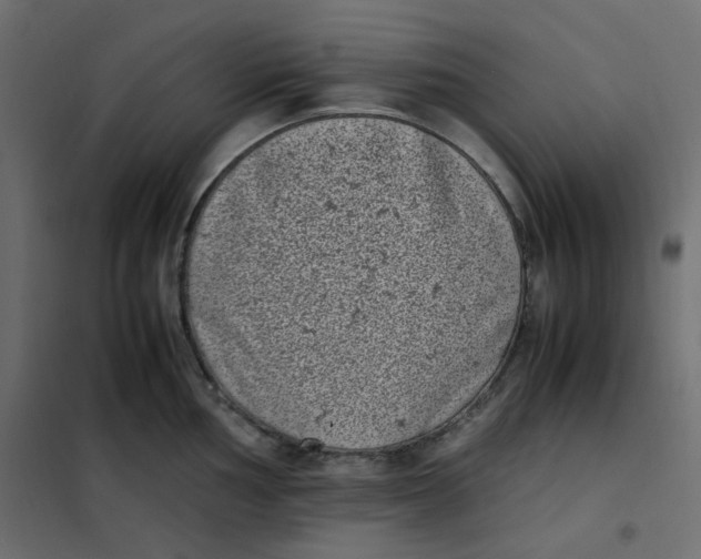 X0000101991002200808081631