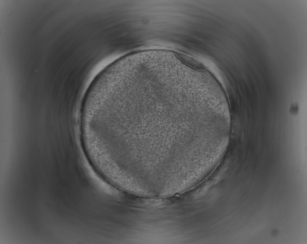 X0000101991003200808081631