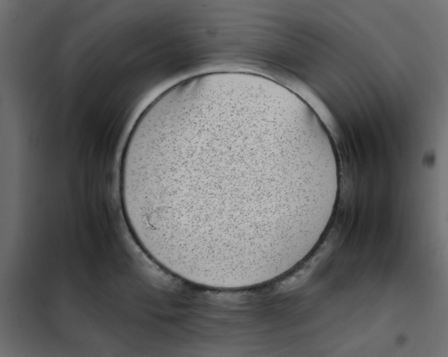 X0000101991004200808081631