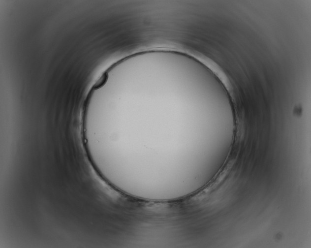 X0000101991006200808081631