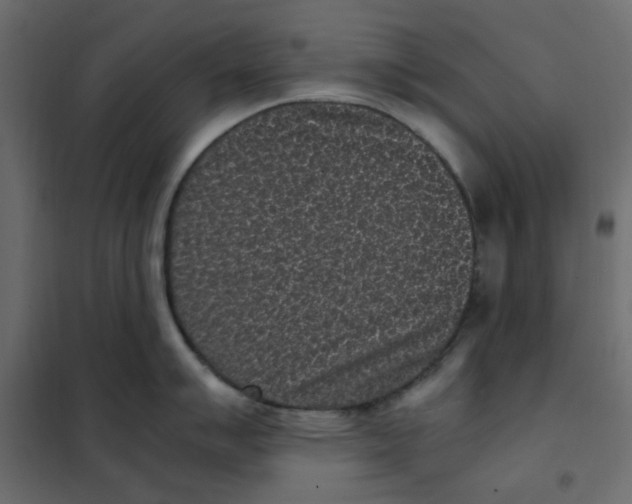 X0000101991007200808081631