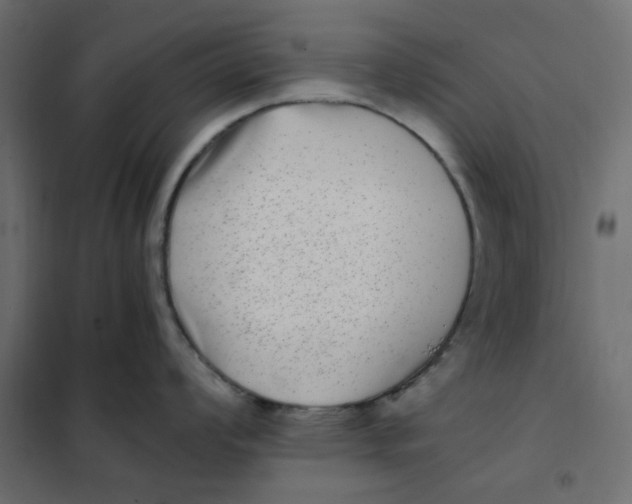 X0000101991008200808081630