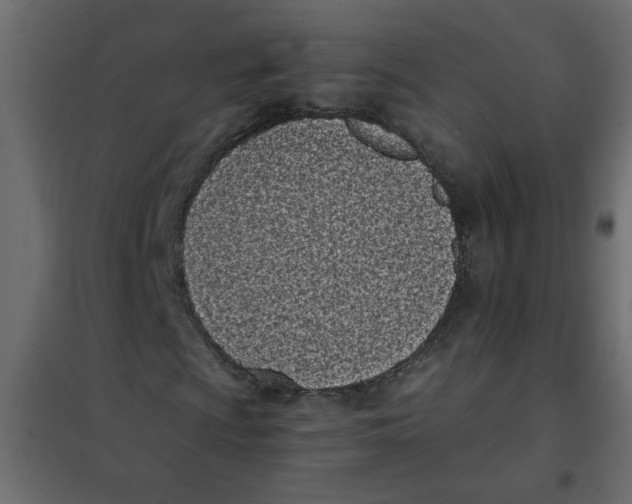 X0000101991009200808081629