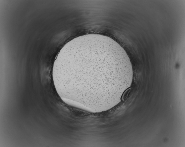 X0000101991010200808081630