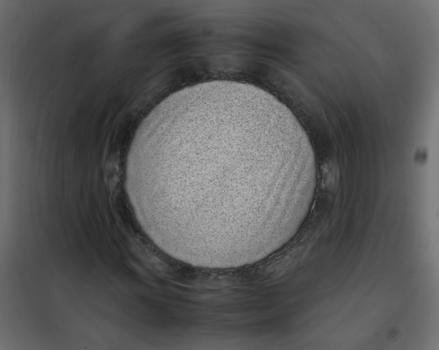 X0000101991011200808081630