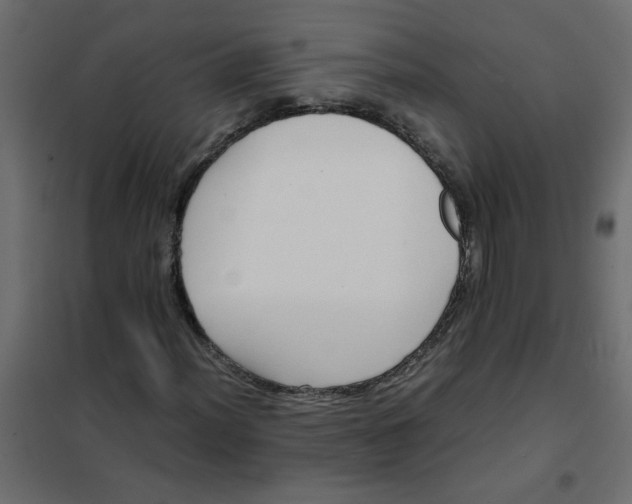 X0000101991012200808081630