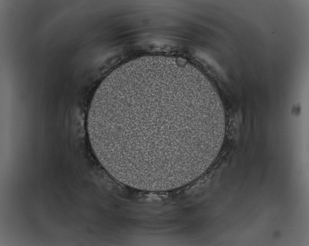 X0000101991013200808081630