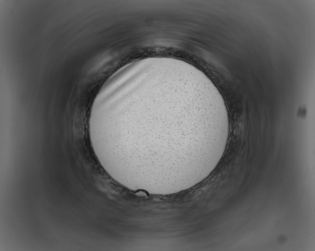 X0000101991014200808081630