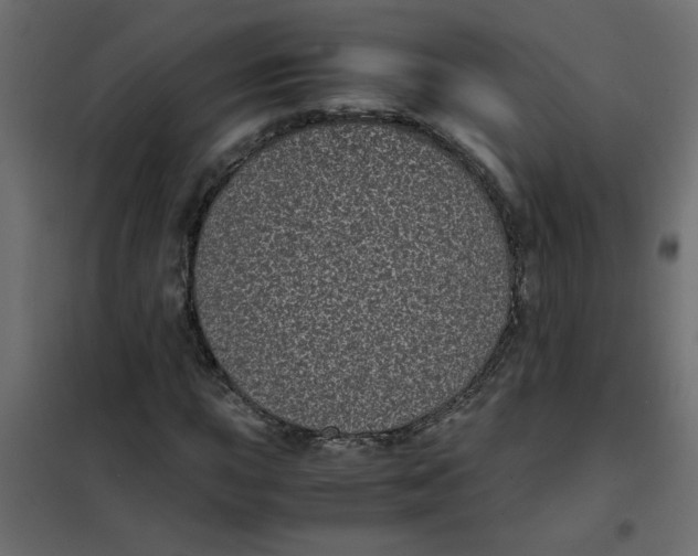 X0000101991015200808081630