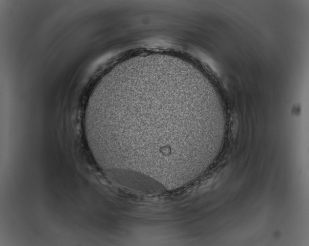 X0000101991016200808081630