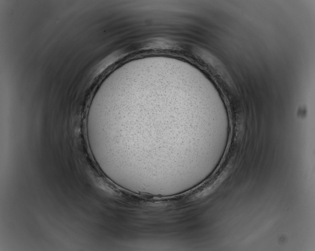 X0000101991017200808081630