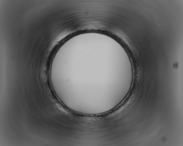 X0000101991018200808081630