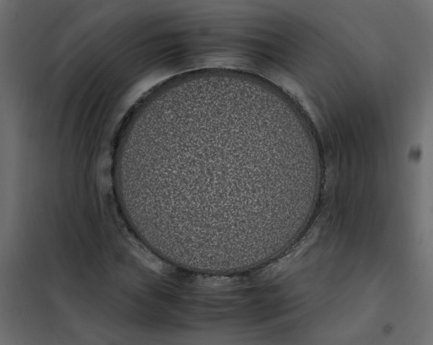 X0000101991019200808081630