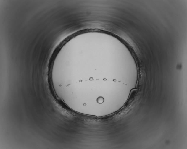 X0000101991020200808081630