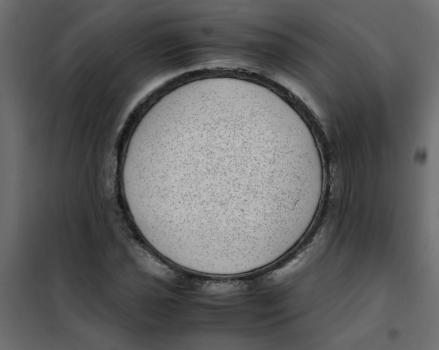 X0000101991021200808081630