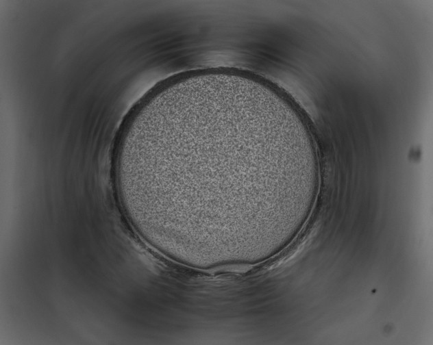 X0000101991023200808081630