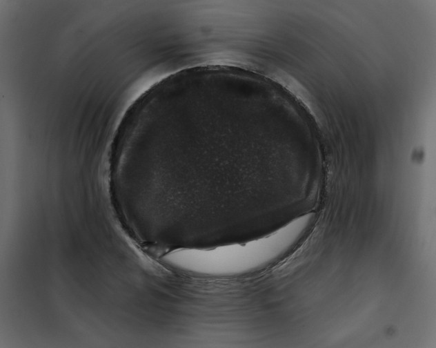 X0000101991024200808081630