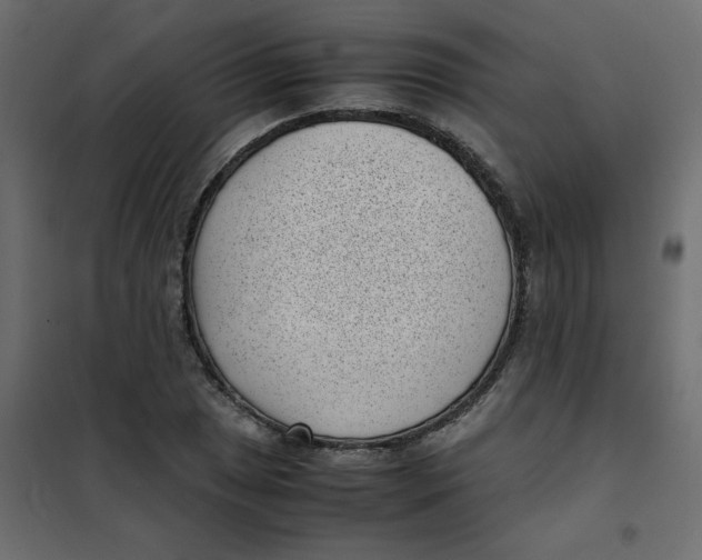 X0000101991025200808081630