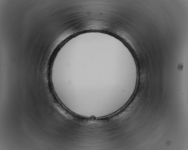 X0000101991026200808081630