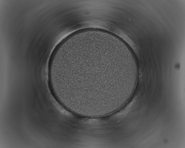 X0000101991028200808081630