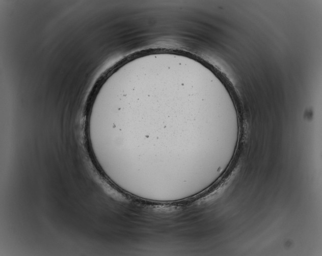 X0000101991029200808081630