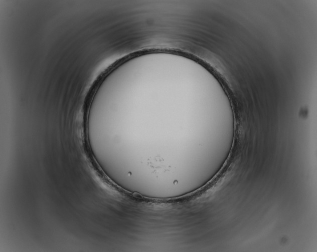 X0000101991030200808081630