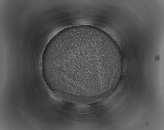 X0000101991031200808081630