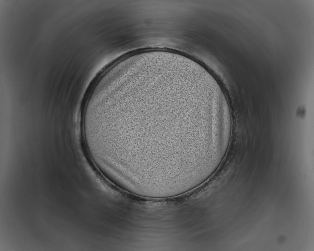 X0000101991032200808081630