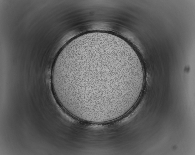 X0000101991033200808081630