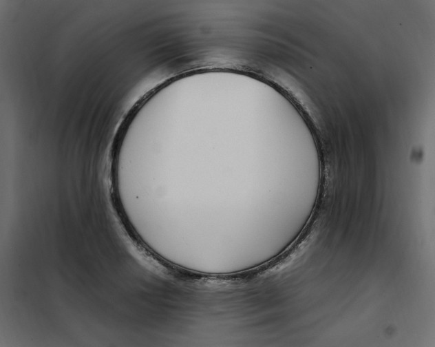 X0000101991034200808081630