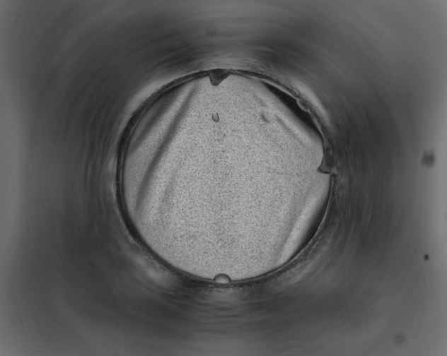 X0000101991035200808081630