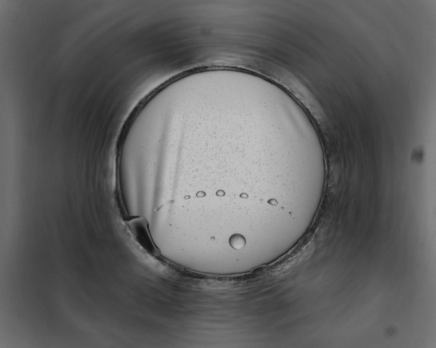 X0000101991036200808081630