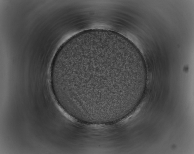 X0000101991037200808081630