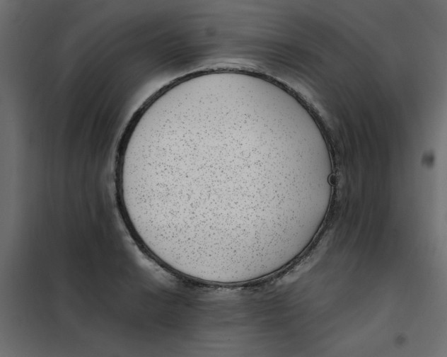 X0000101991038200808081630