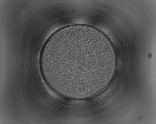 X0000101991039200808081630