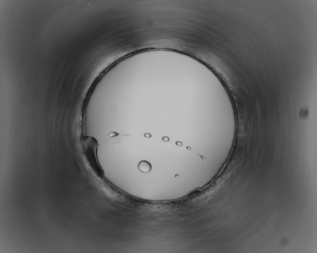 X0000101991040200808081630