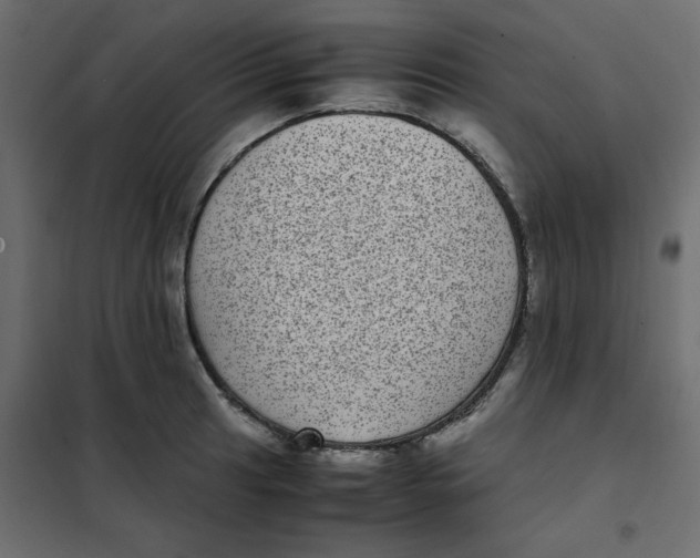 X0000101991041200808081630