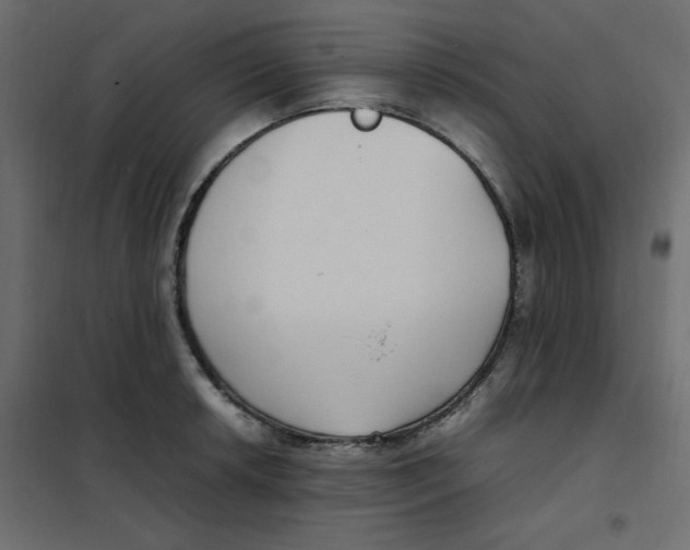 X0000101991042200808081630