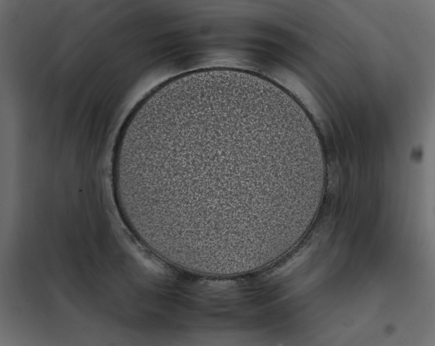 X0000101991043200808081630