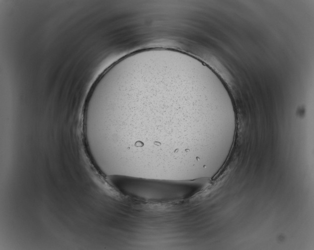 X0000101991044200808081630