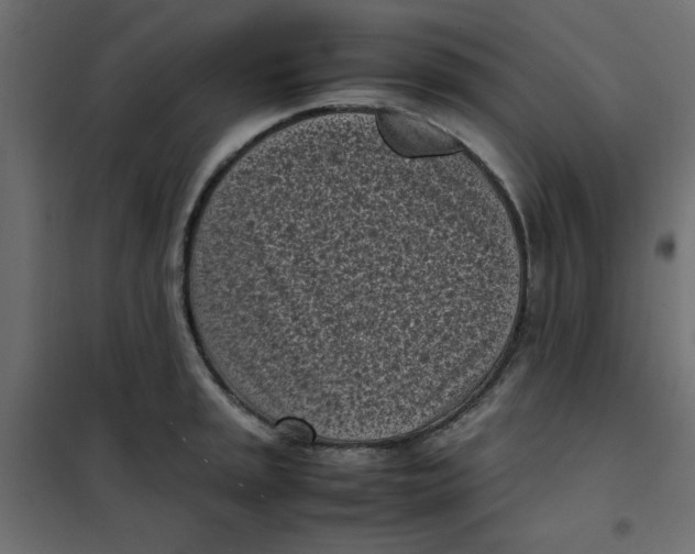 X0000101991045200808081630