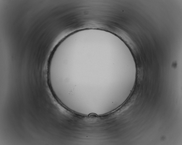 X0000101991046200808081630