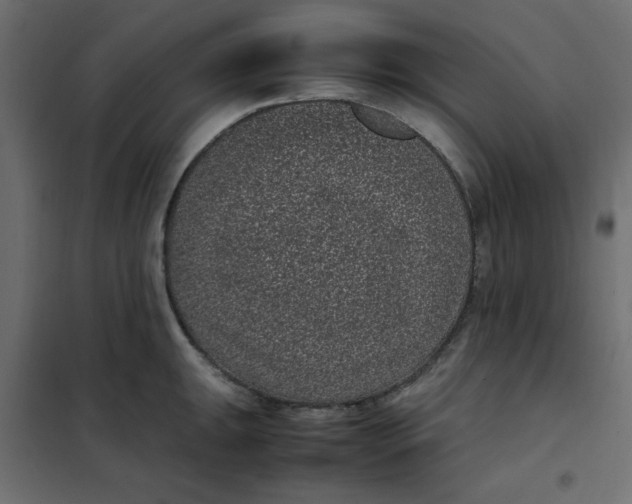 X0000101991047200808081630