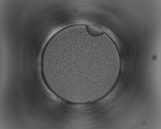 X0000101991048200808081630