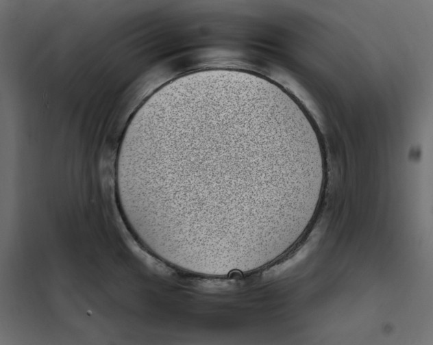 X0000101991049200808081630