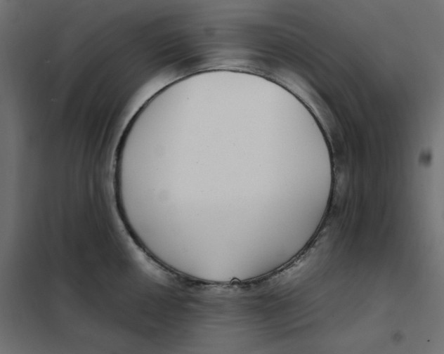 X0000101991050200808081630