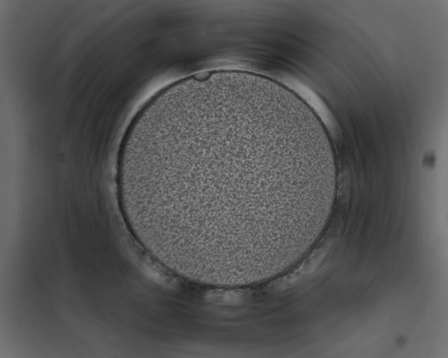 X0000101991051200808081630